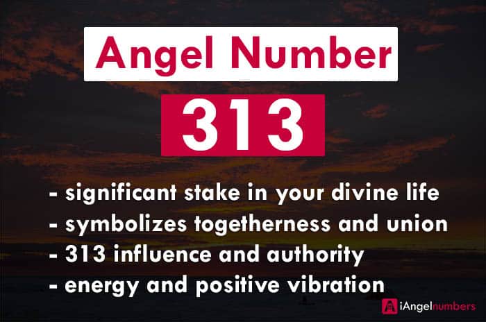 Angel Numerology 313 Meaning: Joanne Sacred Scribes