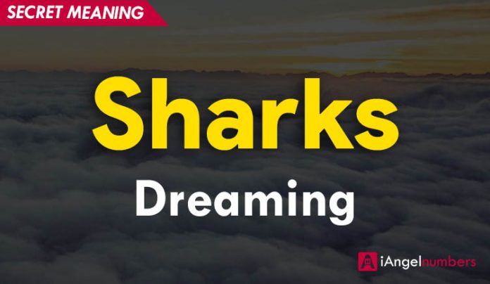 Dreams of Sharks Meaning and Symbolism, Facts (2020)
